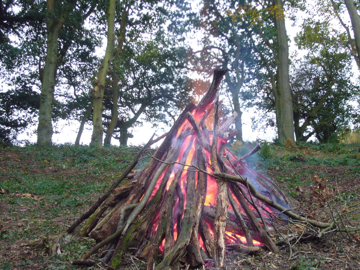 Bonfire (3)